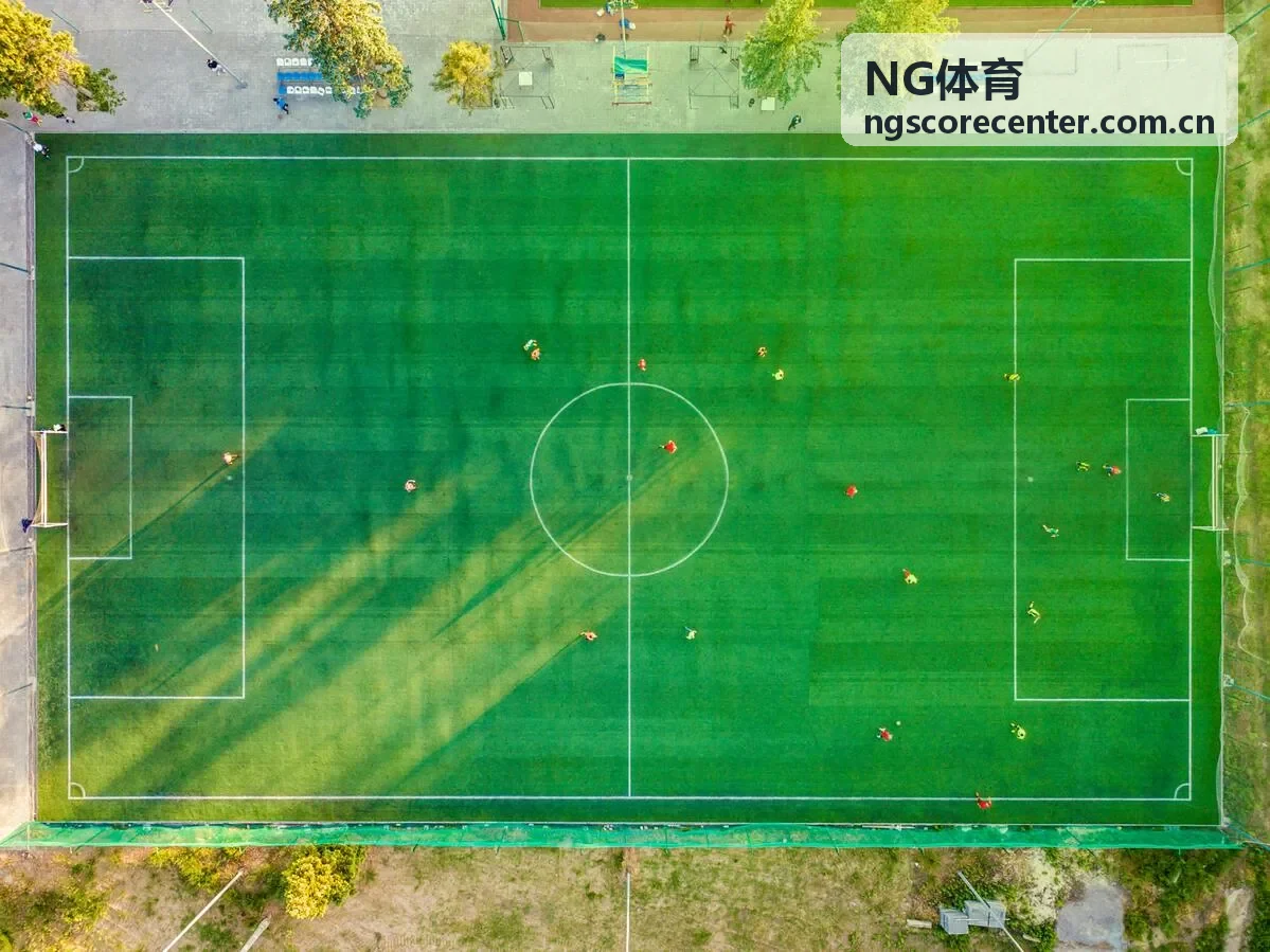 NG体育即时比分赛事数据界面